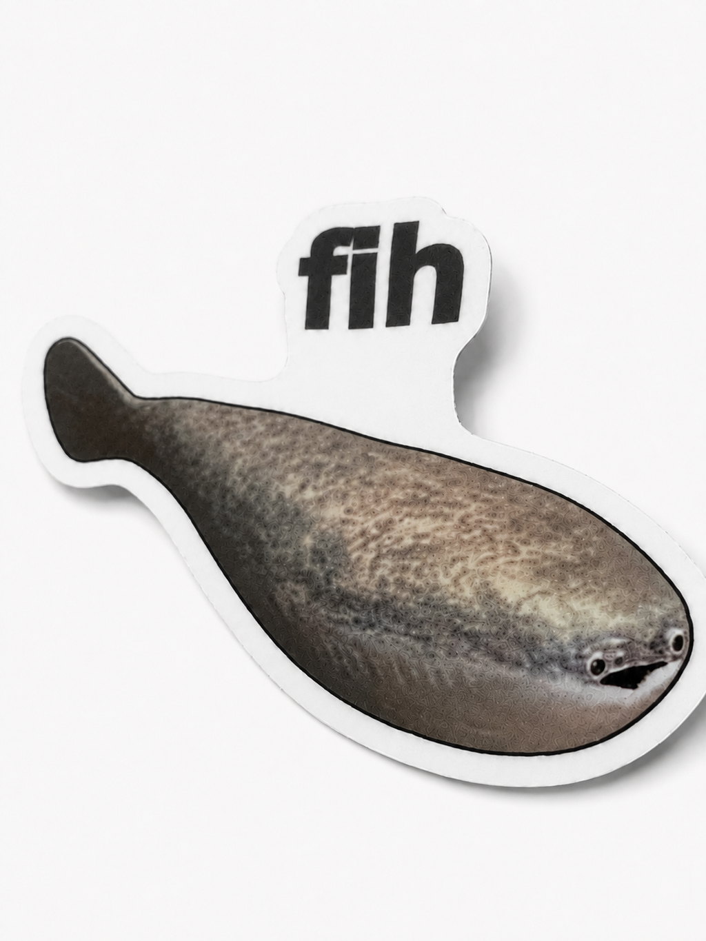 FIH Sacabambaspis Sticker | 2.5" Die-Cut Vinyl Prehistoric Fish Meme Decal | Laptop & Water Bottle Sticker