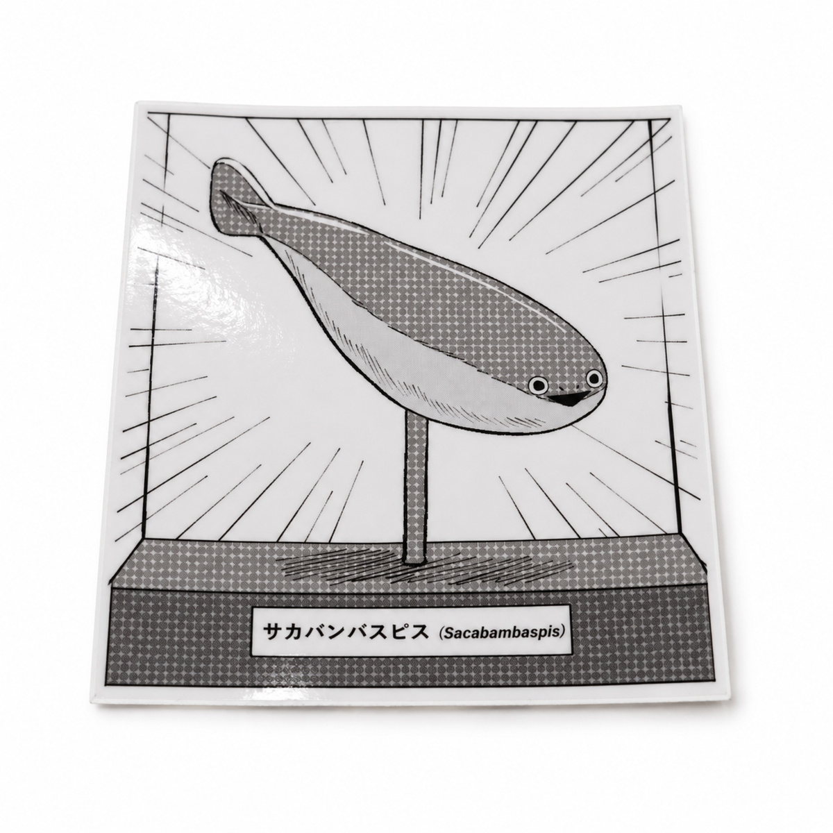 Museum Sacabambaspis Sticker | 2.5" Die-Cut Vinyl Prehistoric Fish Meme Decal | Laptop & Water Bottle Sticker